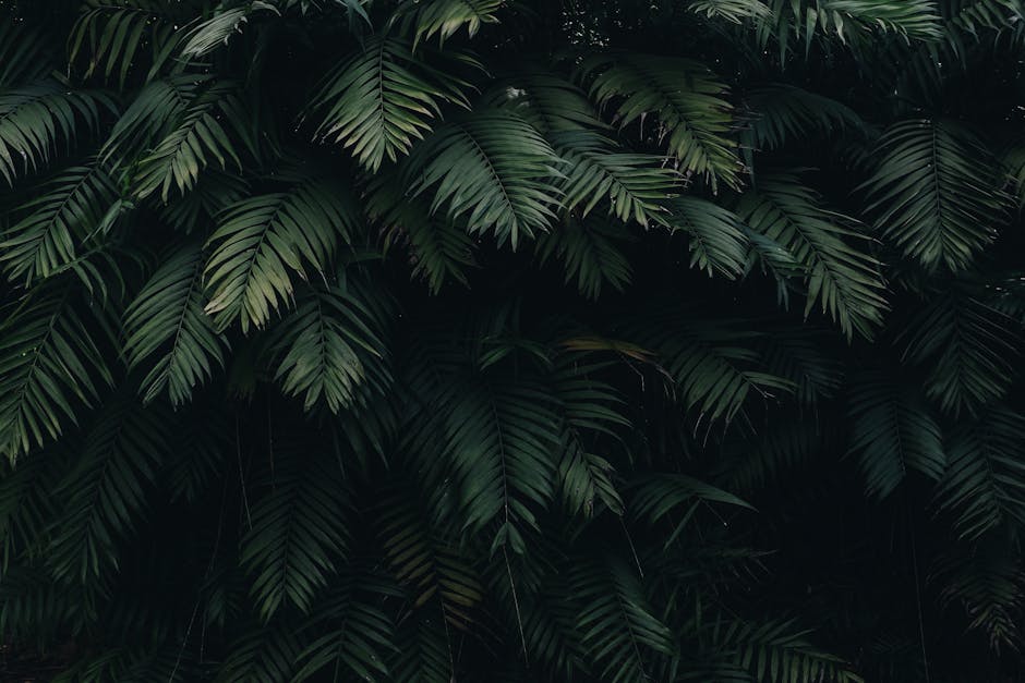 the-most-popular-wallpapers-in-the-uk-right-now
