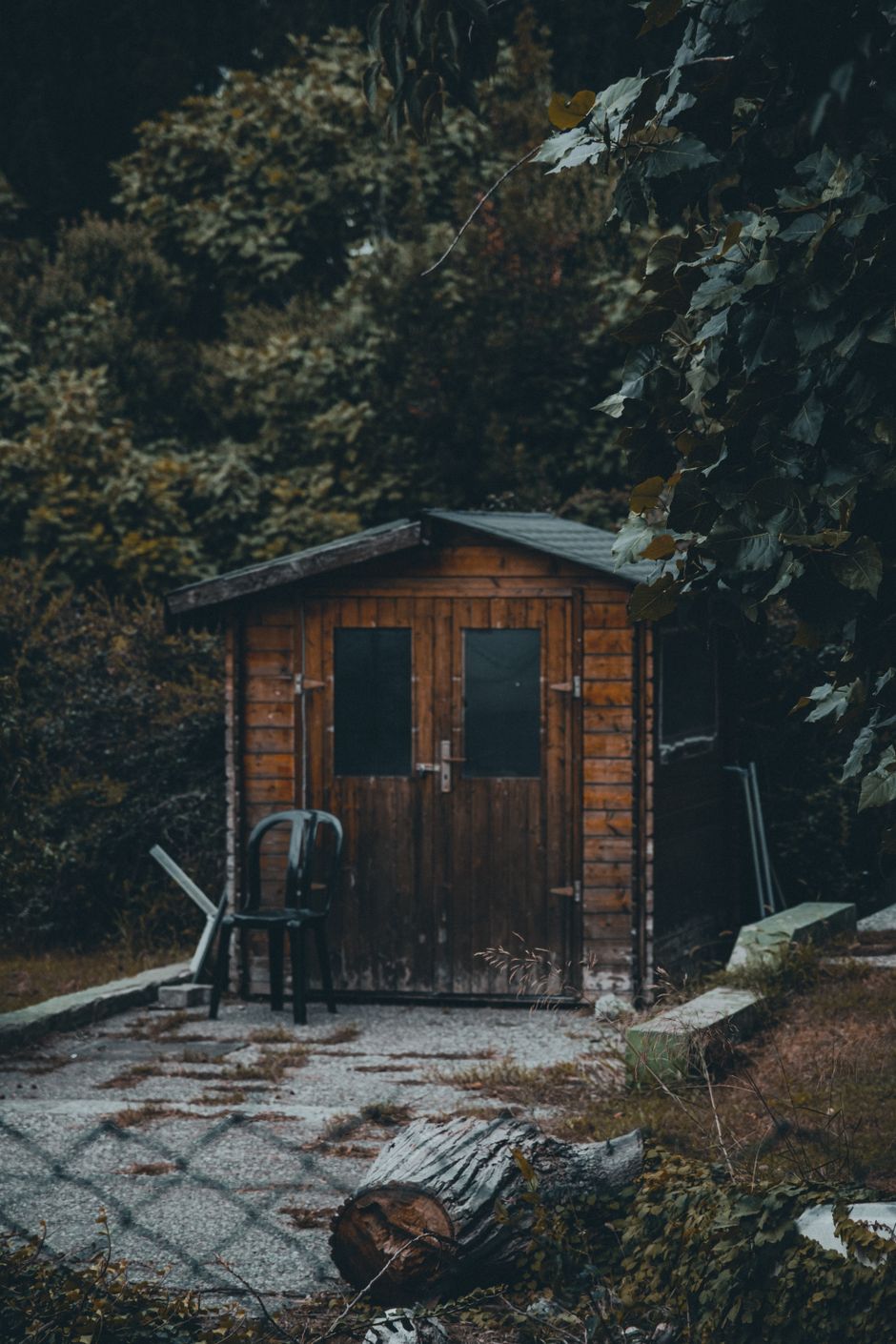 Metal or Wood Shed? Your UK Guide to Smart Outdoor Storage